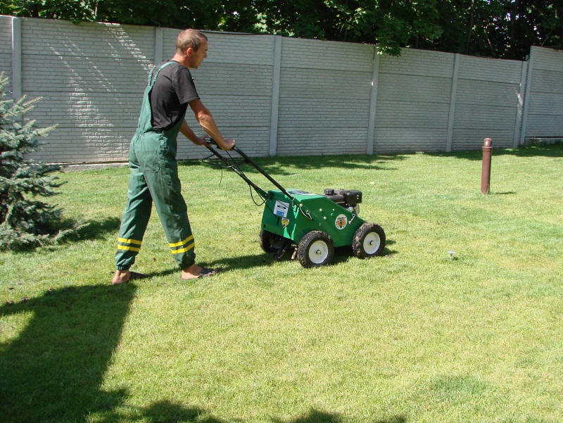 Lawn aeration photo